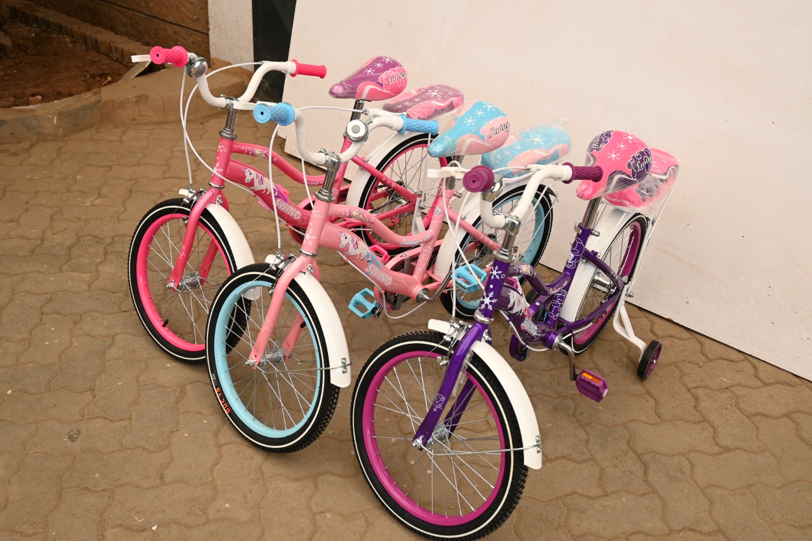 Swing Girl Bike Size 18(5-10yrs) - Image 3