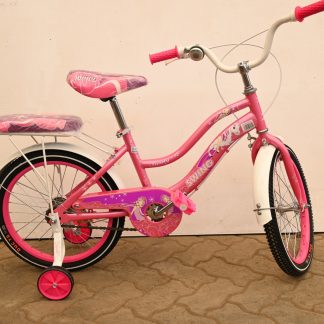 Swing Girl Bike Size 18(5-10yrs)