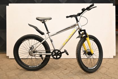 Swing Fat Tyre Size 24 (10yrs-16yrs)