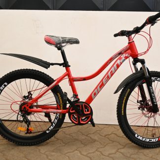 Ocean Bike Size 24
