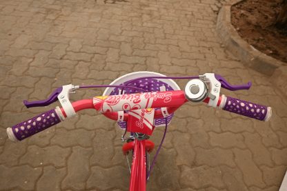 Swing Girl Bike Size12 (2yrs-5yrs) - Image 4