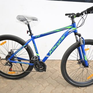 Xbicycle size 29