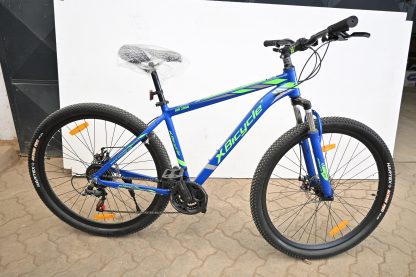 Xbicycle size 29